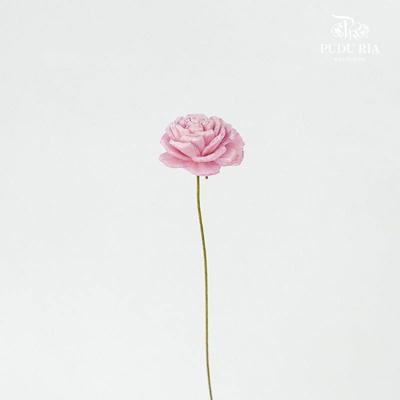 Sola Rose Mini Light Pink - Pudu Ria Florist Southern