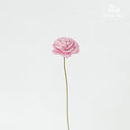 Sola Rose Mini Light Pink - Pudu Ria Florist Southern