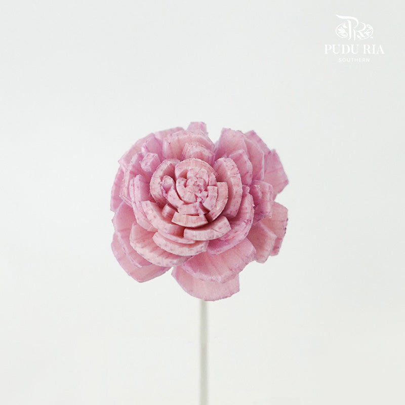 Sola Rose Mini Light Pink - Pudu Ria Florist Southern