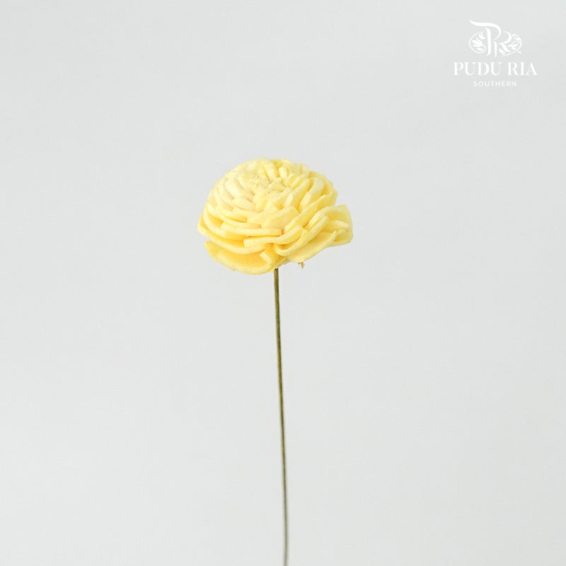 Sola Rose Mini Yellow - Pudu Ria Florist Southern