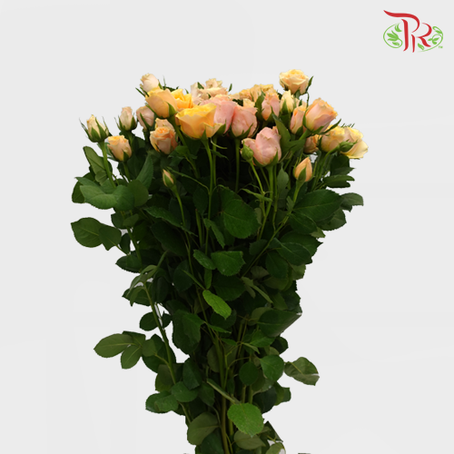 Rose Spray Yellow Orange (8-10 Stems) - Pudu Ria Florist Southern