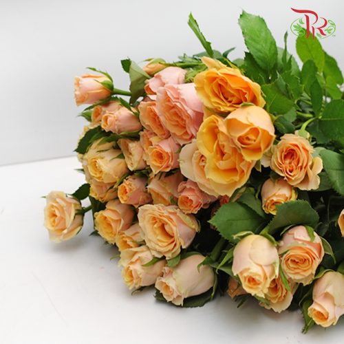 Rose Spray Yellow Orange (8-10 Stems) - Pudu Ria Florist Southern