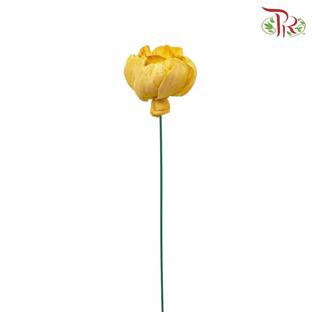 Dry Sola Rose Big - Yellow - Pudu Ria Florist Southern