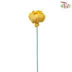 Dry Sola Rose Big - Yellow - Pudu Ria Florist Southern