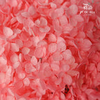 Preservative Hydrangea - Sweet Pink / Per Stem - Pudu Ria Florist Southern