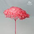 Preservative Hydrangea - Sweet Pink / Per Stem - Pudu Ria Florist Southern
