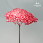 Preservative Hydrangea - Sweet Pink / Per Stem - Pudu Ria Florist Southern