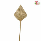Dry Spear Palm (M) - Pudu Ria Florist Southern