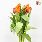 Tulip Golden (8-9 Stems) - Pudu Ria Florist Southern