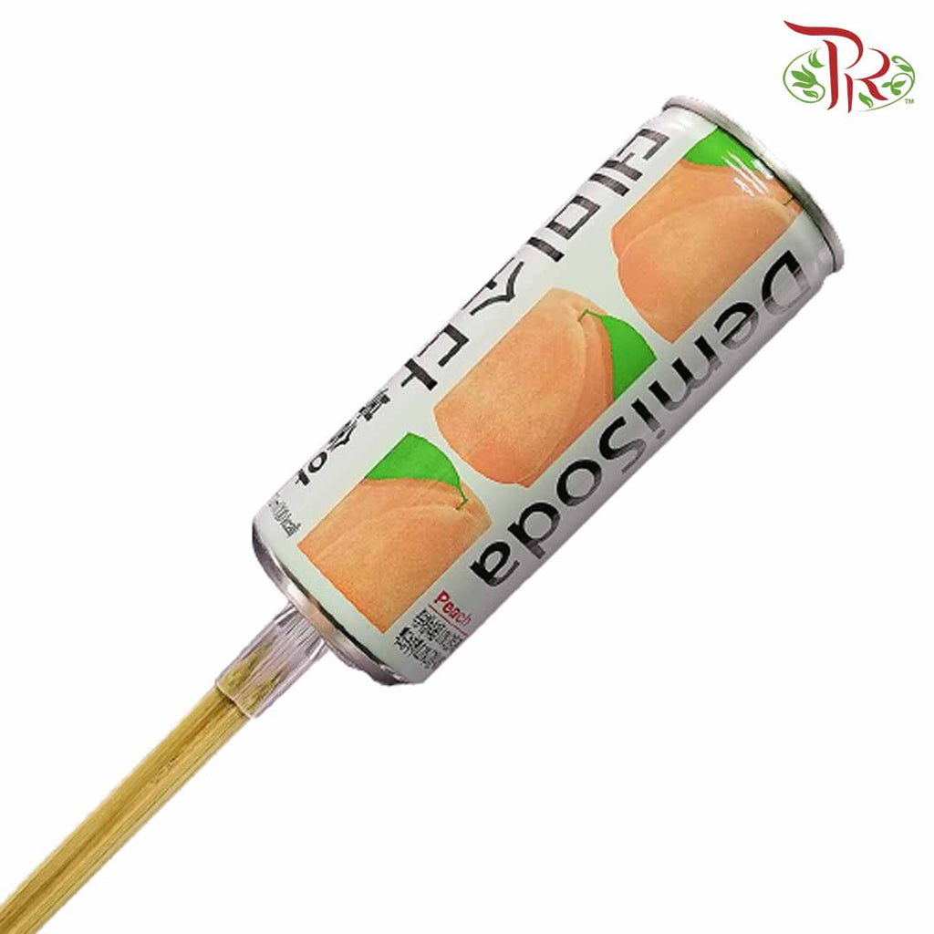 Floral Magic Stick - Can / Bottle Pack (10 pcs) - FBA011#2 - Pudu Ria Florist Southern