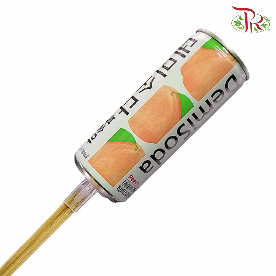 Floral Magic Stick - Can / Bottle Pack (10 pcs) - FBA011#2 - Pudu Ria Florist Southern