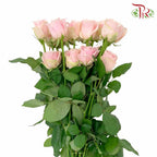 Rose Pink Avalanche (19-20 Stems) - Pudu Ria Florist Southern