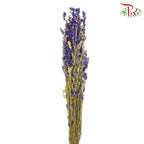 Dry Delphinium - Pudu Ria Florist Southern