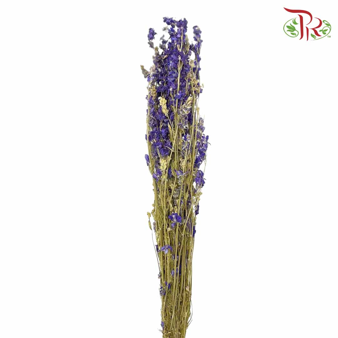 Dry Delphinium - Pudu Ria Florist Southern