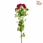 Rose Spray Bloodred Bubble (8-10 Stems) - Pudu Ria Florist Southern