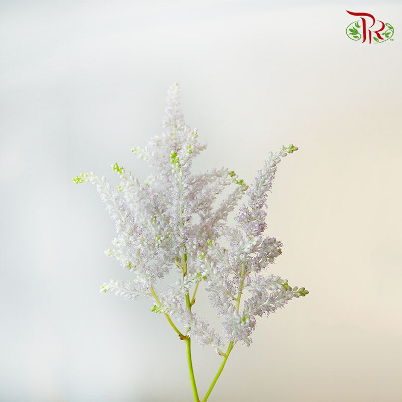 Astilbe Light purple (4-5 Stems) - Pudu Ria Florist Southern