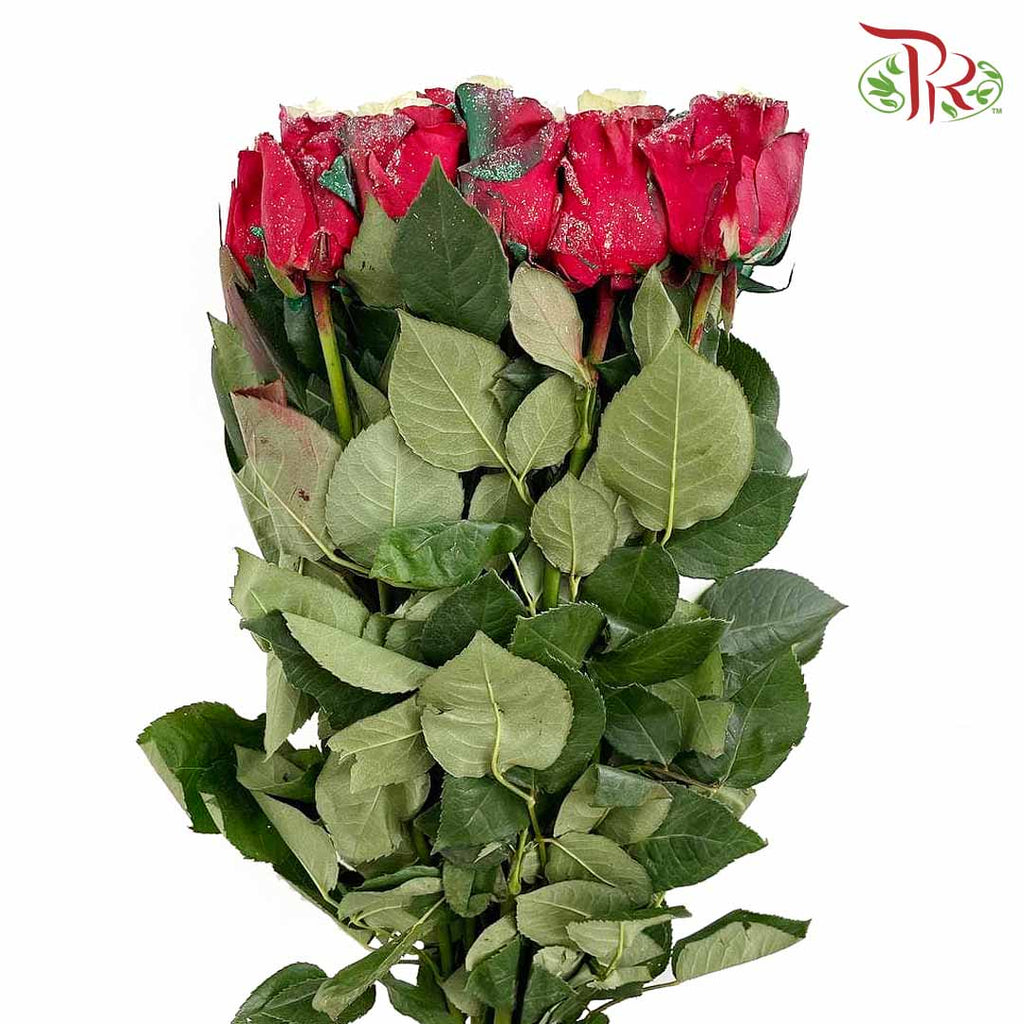Rose Xmas Candy (8-10 Stems) - Pudu Ria Florist Southern