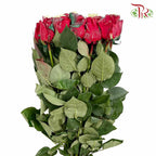 Rose Xmas Candy (8-10 Stems) - Pudu Ria Florist Southern