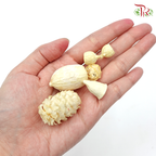 Preservative Nuts Mixed Small - Pudu Ria Florist Southern