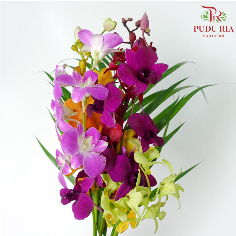 Local Mix (Orchid) - Per Bunch - Pudu Ria Florist Southern