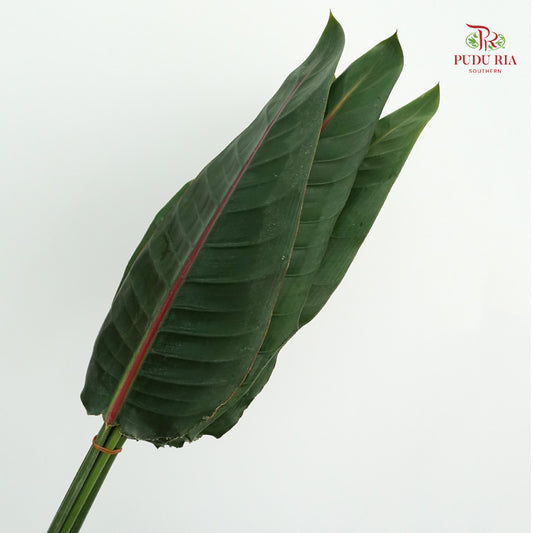 Bird of Paradise Leaf - 5 Stems - Pudu Ria Florist Southern