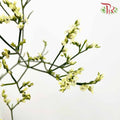 Caspia Yellow - Pudu Ria Florist Southern