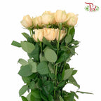 Rose Champagne (19-20 Stems) - Pudu Ria Florist Southern