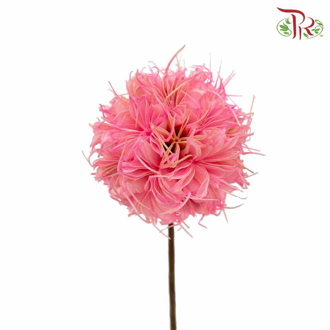 Dry Octagonal Ball - Pink - Offer Item - Pudu Ria Florist Southern