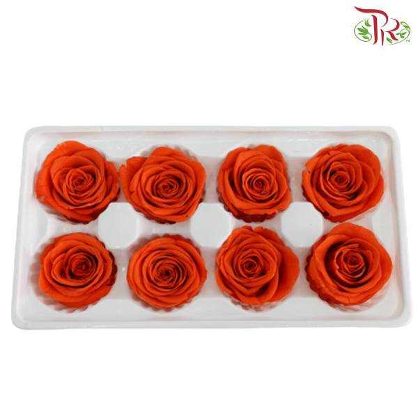 8 Bloom Preservative Rose - Orange - Pudu Ria Florist Southern