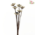 Dry Sticky Flower - Pudu Ria Florist Southern