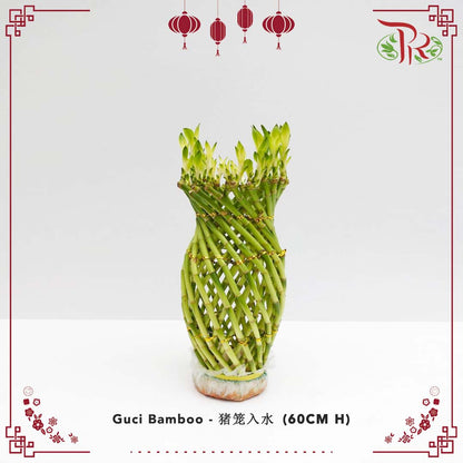 Guci Bamboo (猪笼入水) - 60CM (H) - Pudu Ria Florist Southern