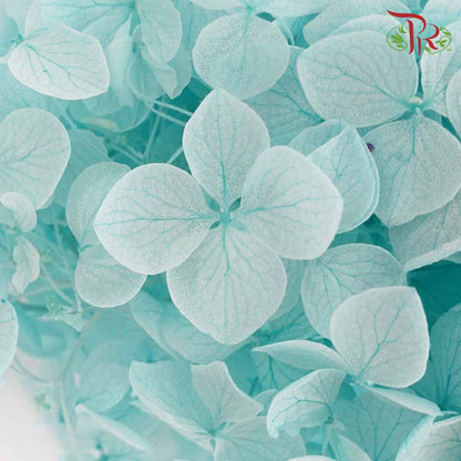 Preservative Hydrangea - Tiffany Blue / Per Stem - Pudu Ria Florist Southern