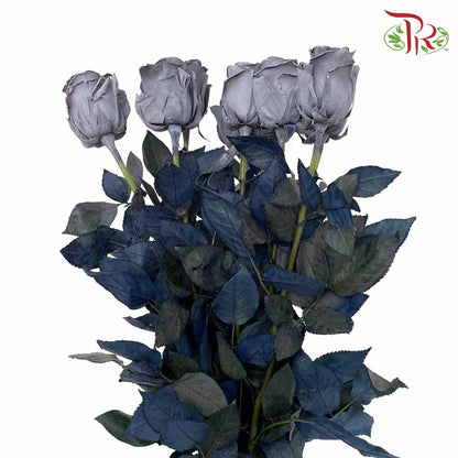 Rose Sparkle Moon (8-10 Stems) - Pudu Ria Florist Southern