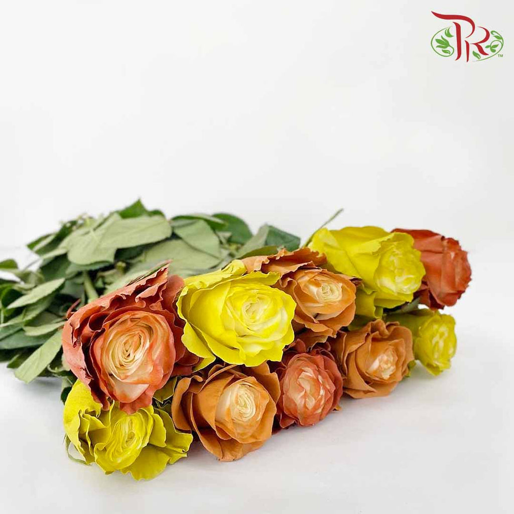 Rose Fall Mix (8-10 Stems) - Pudu Ria Florist Southern