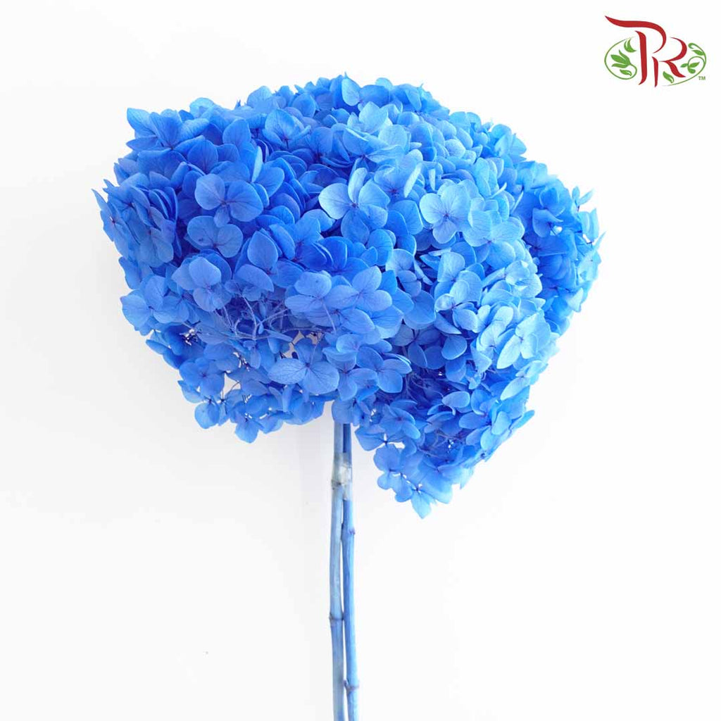 Preservative Hydrangea - Blue / Per Stem - Pudu Ria Florist Southern