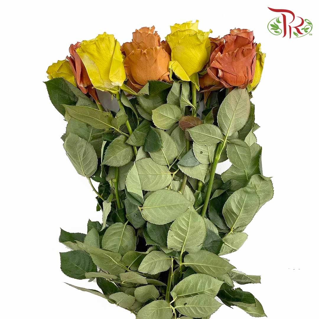 Rose Fall Mix (8-10 Stems) - Pudu Ria Florist Southern