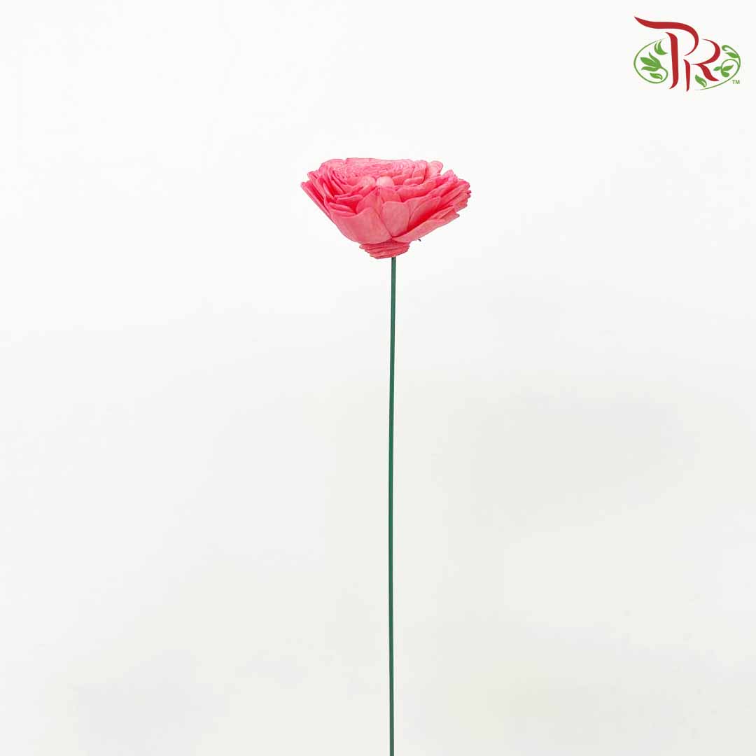 Dry Aeschynomene (Big) - Red - Pudu Ria Florist Southern