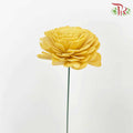 Dry Aeschynomene (Big) - Yellow - Pudu Ria Florist Southern
