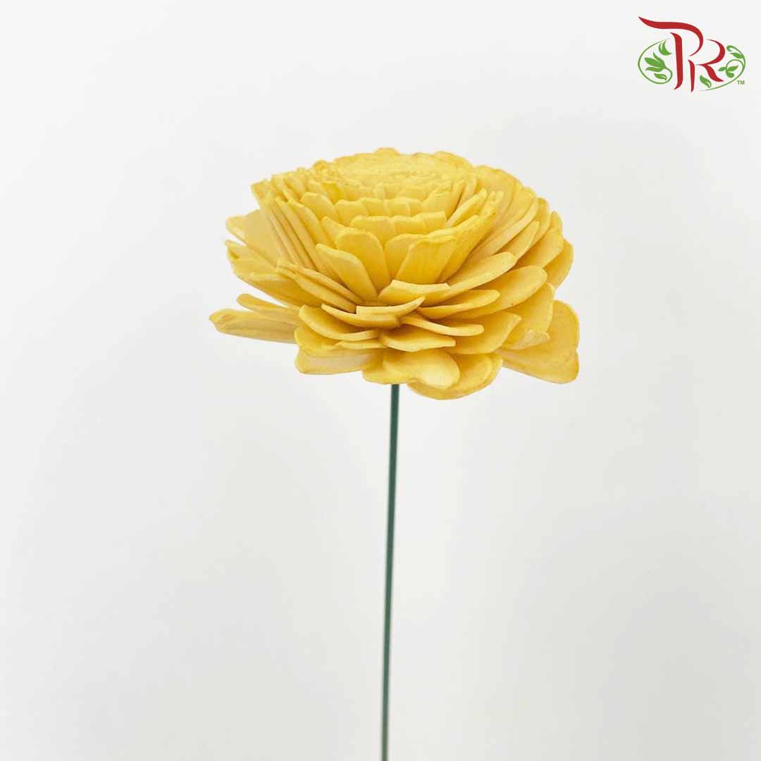 Dry Aeschynomene (Big) - Yellow - Pudu Ria Florist Southern