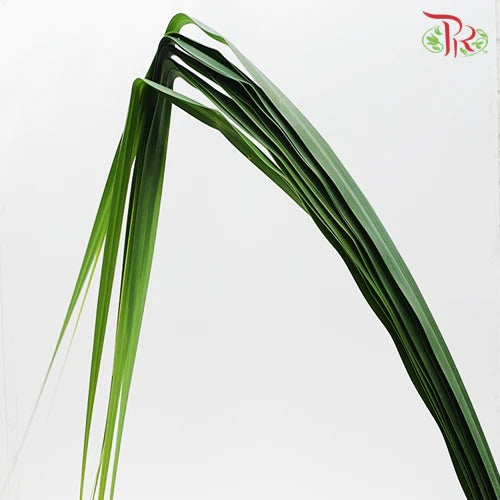 Pandan Leaf (M) - Per Pack - Pudu Ria Florist Southern