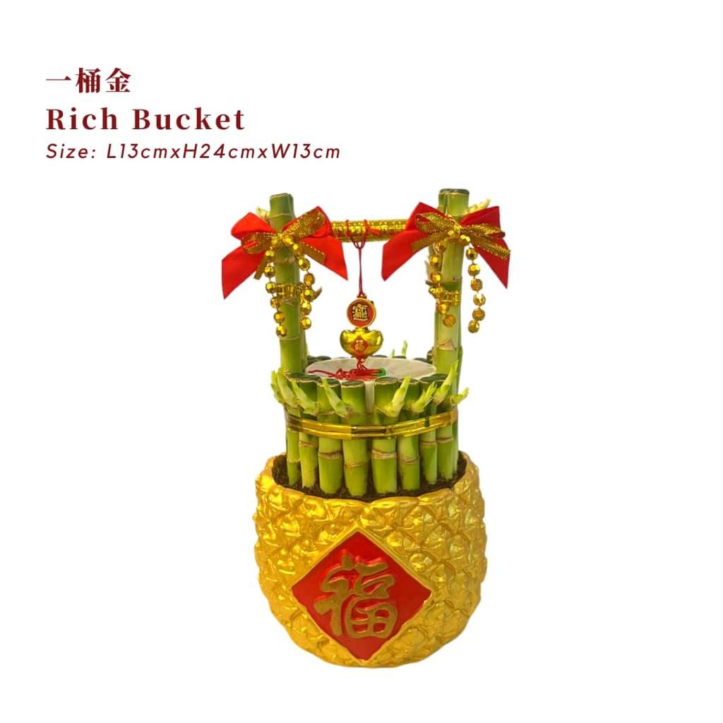 Rich Bucket (一桶金) / Per Pot - Pudu Ria Florist Southern