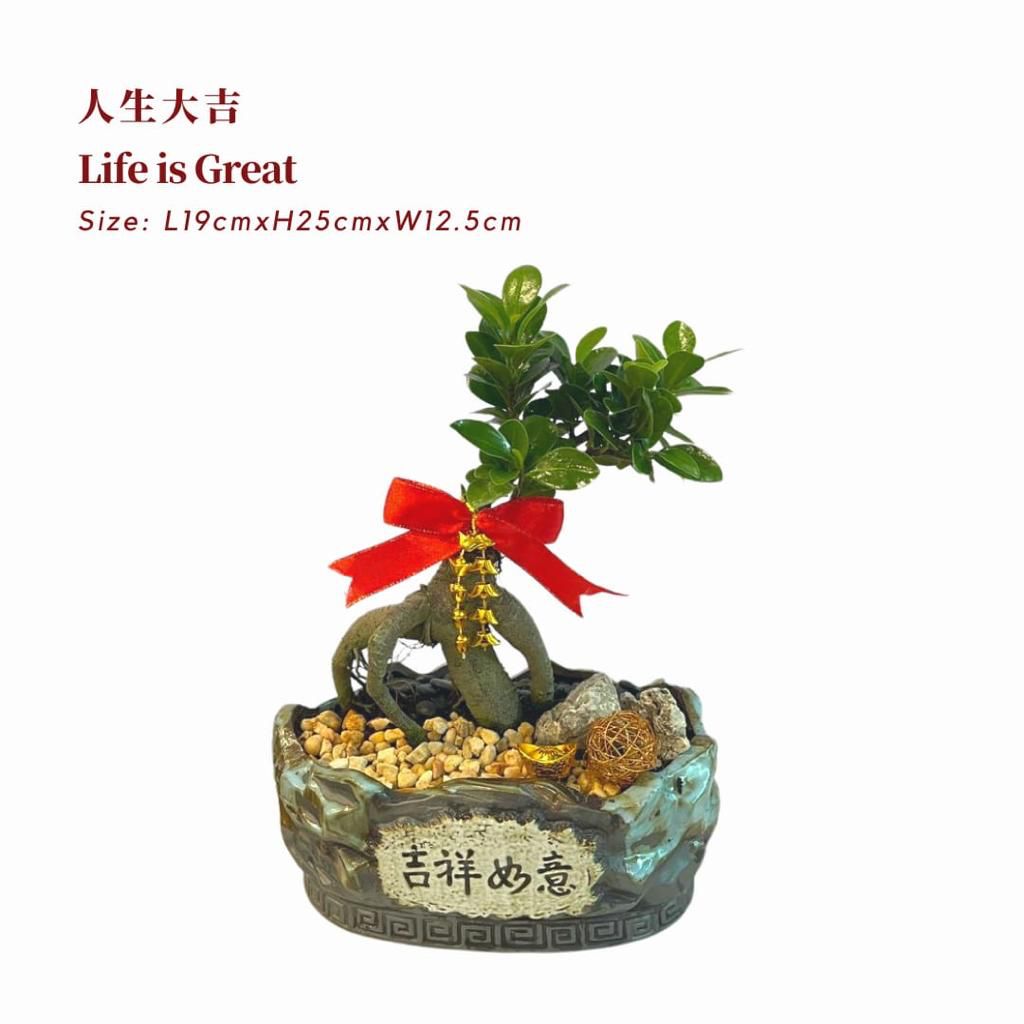 Life Is Great 人生大吉 / Per Pot - Pudu Ria Florist Southern