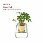 Ocean Park 海洋公园 / Per Pot - Pudu Ria Florist Southern