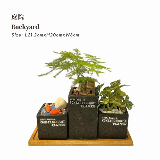 Backyard 庭院 / Per Pot - Pudu Ria Florist Southern