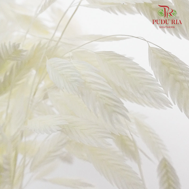 Dry Chasmanthium - White - Pudu Ria Florist Southern