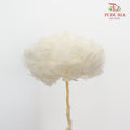 Preservative Hydrangea - White Big / Per Stem - Pudu Ria Florist Southern