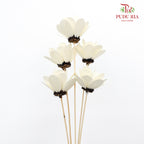 Dry Hibiscus White - Pudu Ria Florist Southern