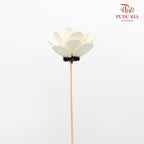 Dry Hibiscus White - Pudu Ria Florist Southern