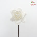 Dry Asia Peony - White - Pudu Ria Florist Southern