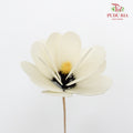 Dry Hibiscus White - Pudu Ria Florist Southern